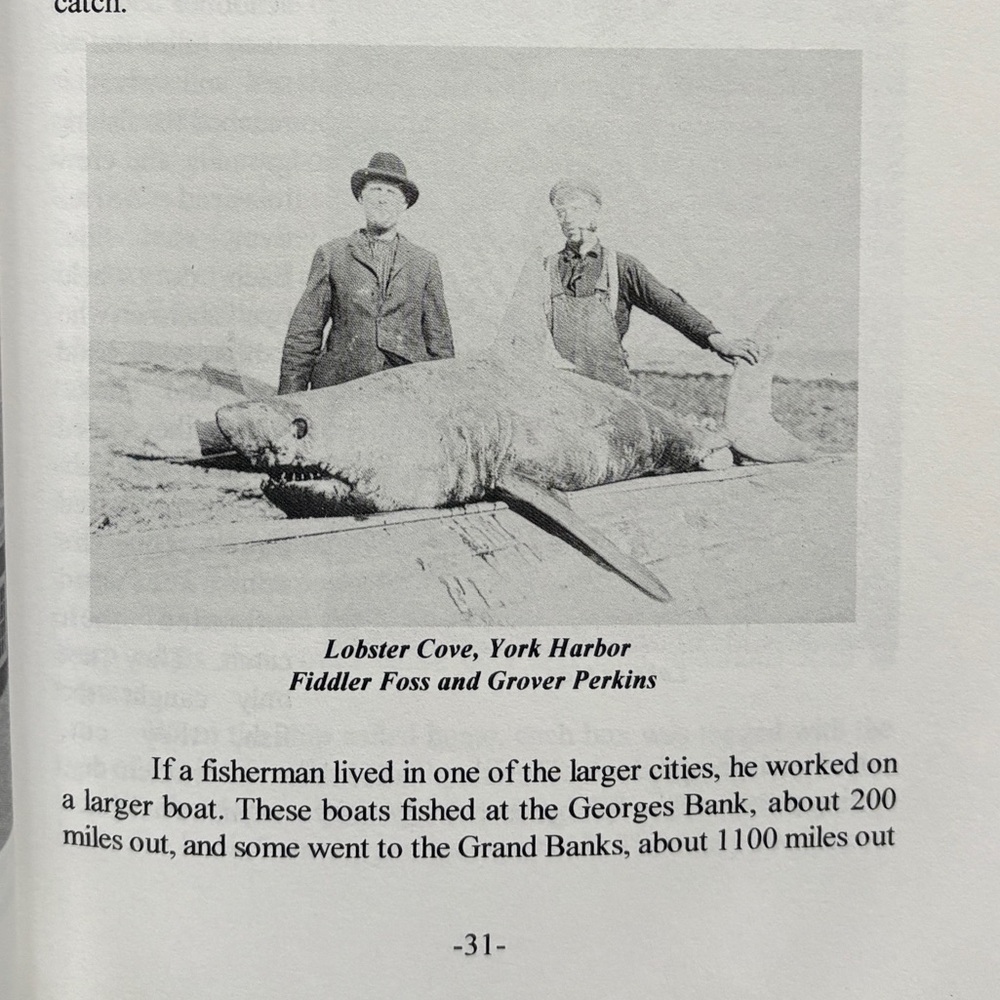 Signed York Village Maine Life As It Was 1900-1950 New England History Lobster - Picture 3 of 13